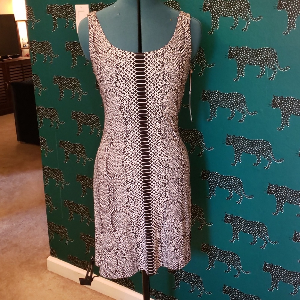 Snake print dress from Tart